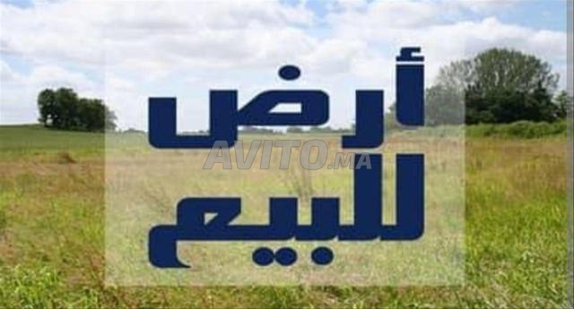 فيرما للبيع ممتازة 6 هكتار ارض فلاحية - 2