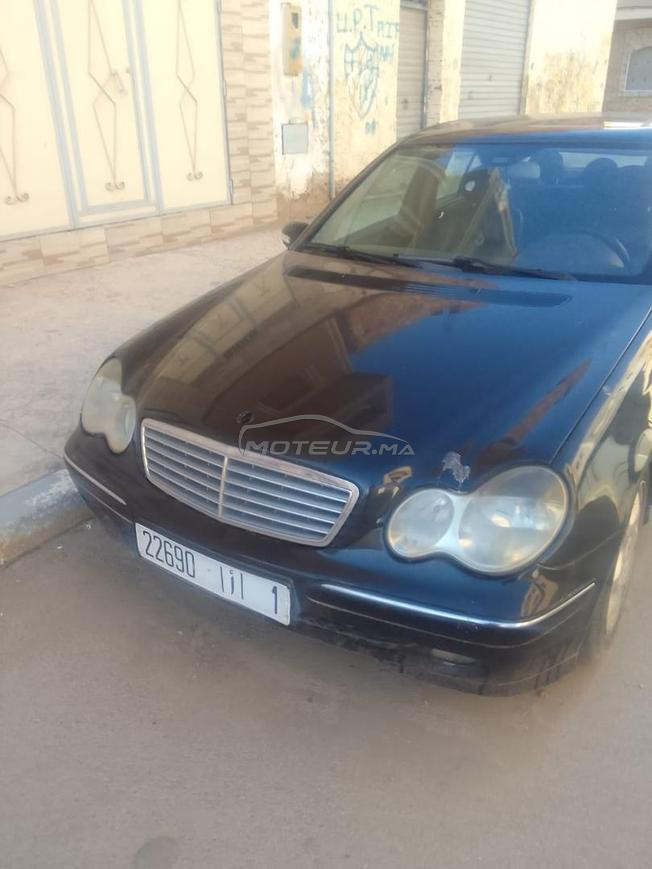 كوكاوة مازالت في حالة جيدة 203 