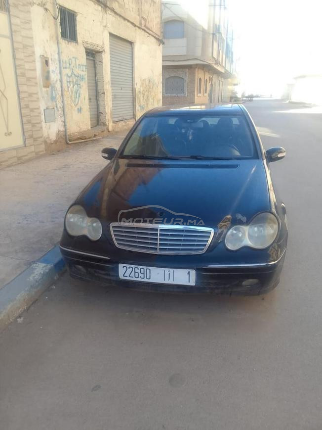 كوكاوة مازالت في حالة جيدة 203 