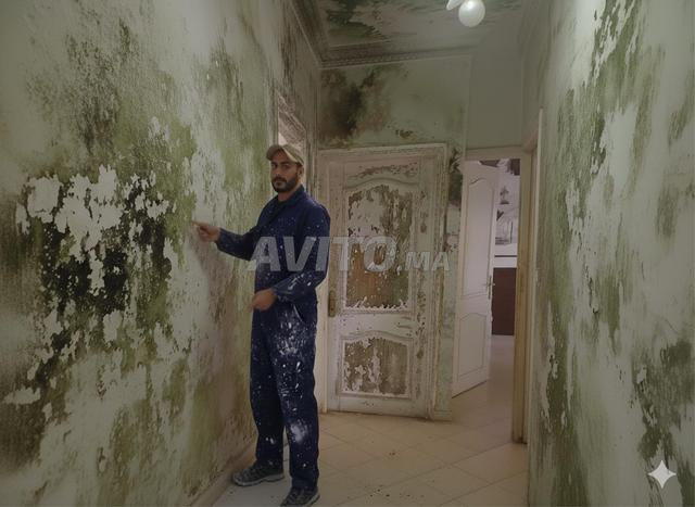 رسام محترف - صباغ محترف