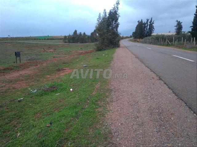 أرض فلاحية /إسثثمارية موقع رائع قرب كودرون - 2