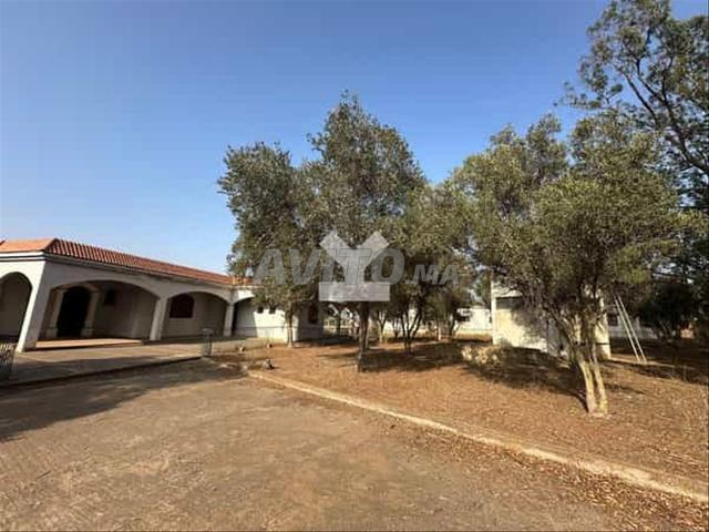 66177-Vente Terrain à Benslimane Foret De Benslima