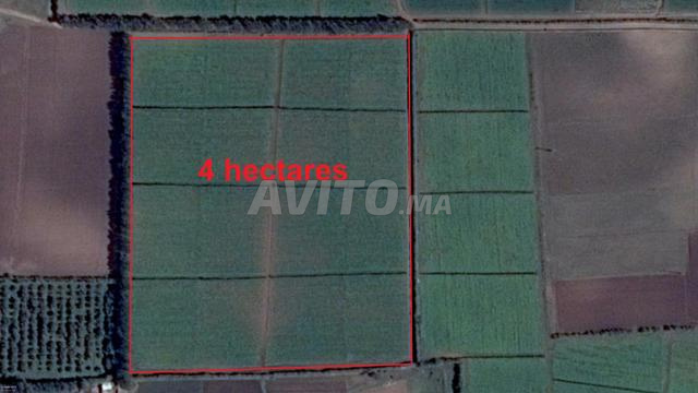 Terrains titrés à Chtouka - Pour habitation ou investissement agricole