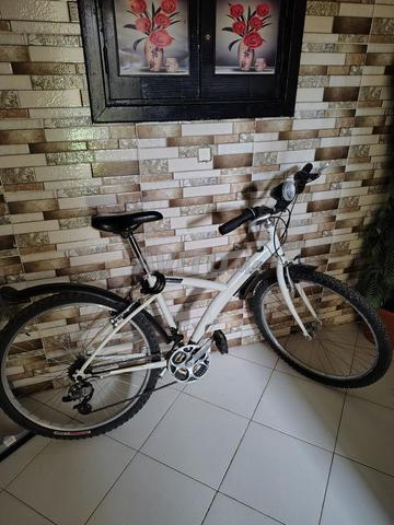 بقالة ممتازة للبيع الثمن جد مناسب