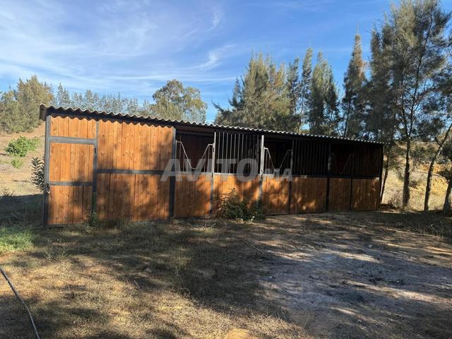 Ferme d'exception à vendre