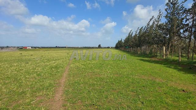 أرض 12500م2 كاموني - 2