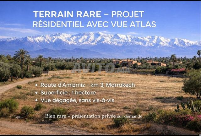 أرض بمساحة 1 هكتار مثالية لمشروع فيلا