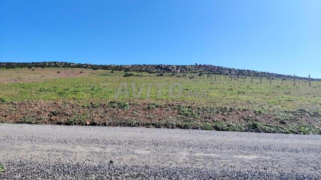 1 ha titré sur la route à Benslimane
