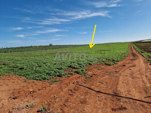 Terrain agricole titré à vendre 1 hectare et 70 ares