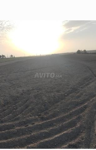 8 Khaddama agricole Melki, environs de Tiflet, électricité, prix 24 millions
