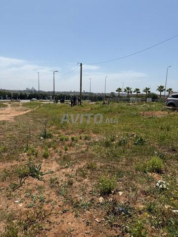 Terrain à Vendre à Harhoura