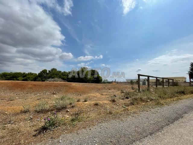 أرض للبيع في سيدي علال البحراوي