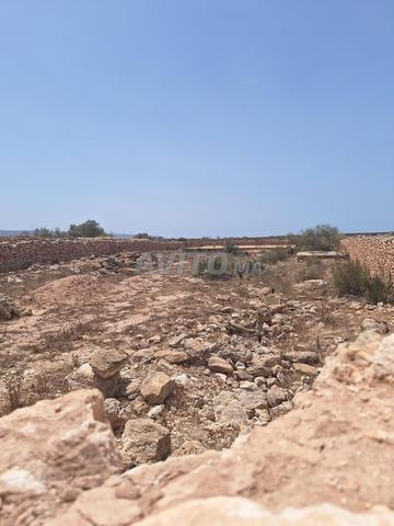 بيع قطعة أرض في منطقة الصويرة - 2