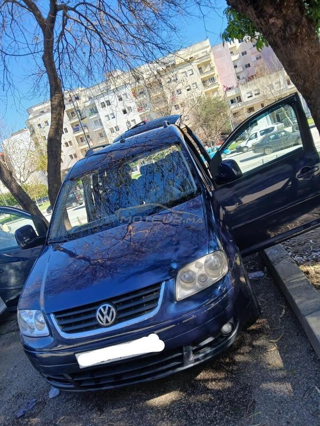 VOLSVAKN GADIY
