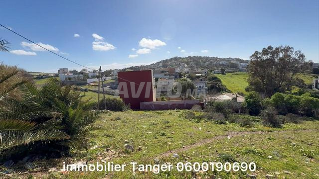 أرض عدلية أجبيلة 818 متر الثمن 1500 درهم للمتر