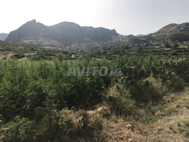 🌿 للبيع - فيلا مزرعة رائعة على بعد 45 دقيقة