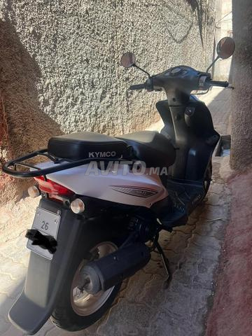 KYMCO نقية