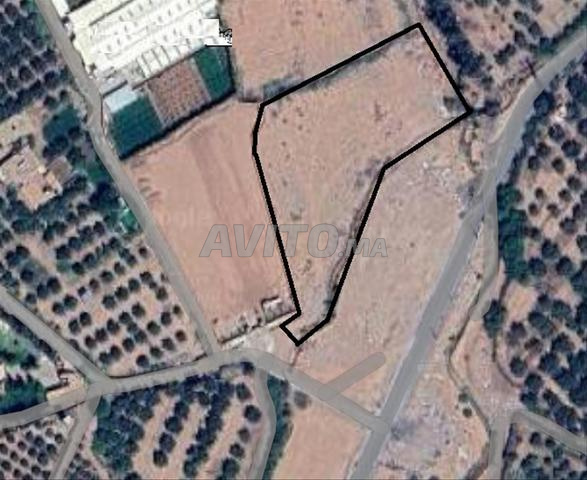 Terrain à vendre Marrakech | أرض للبيع مراكش