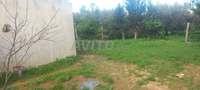 2 hectares Ait Aissa Adi Ait Oualal