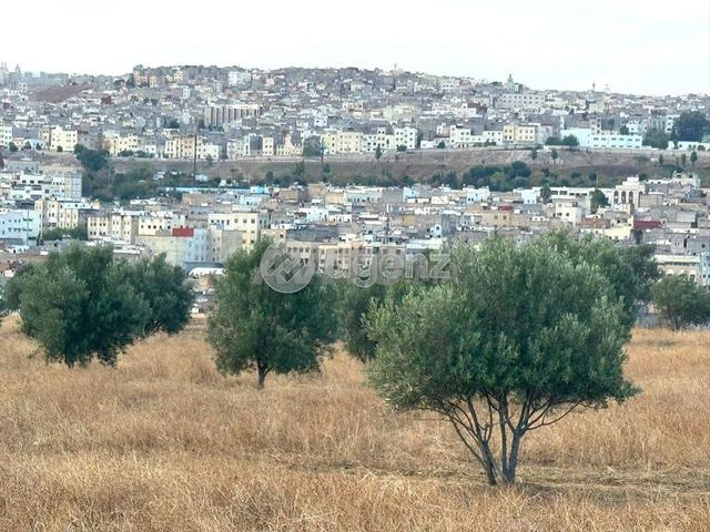 MOU-AI-1006 - أرض للبيع في مولاي يعقوب