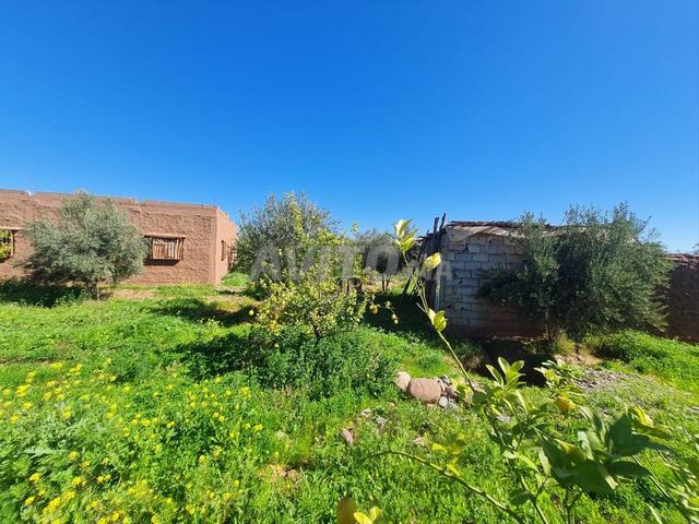 Belle ferme à 32km de Marrakech