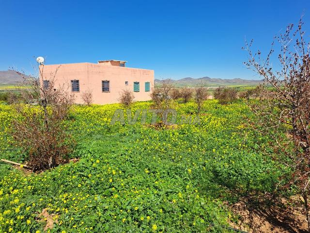 مزرعة جميلة مع منزل للبيع