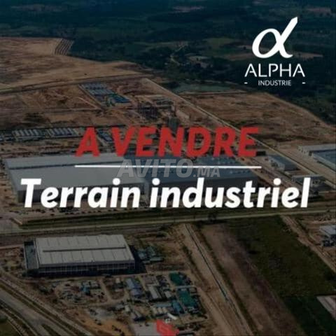 بيع - أرض صناعية 6 هكتارات I2s1