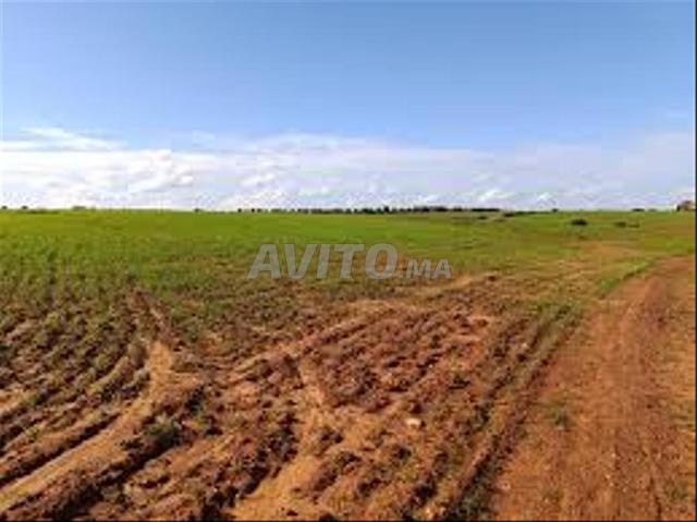 Ben Slimane Oulad Ziane Mouline El Oued