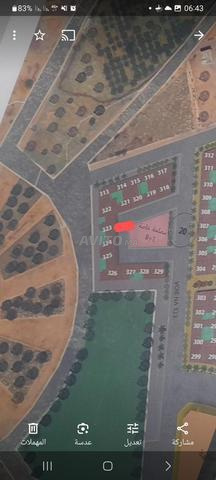 السلام عليكم ساس شبه تجاري