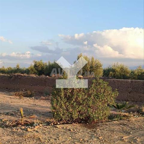 79177-Vente Terrain à Marrakech Route D'Amizmiz -