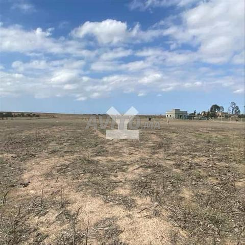 121678-Vente Terrain à Benslimane Foret De Benslim