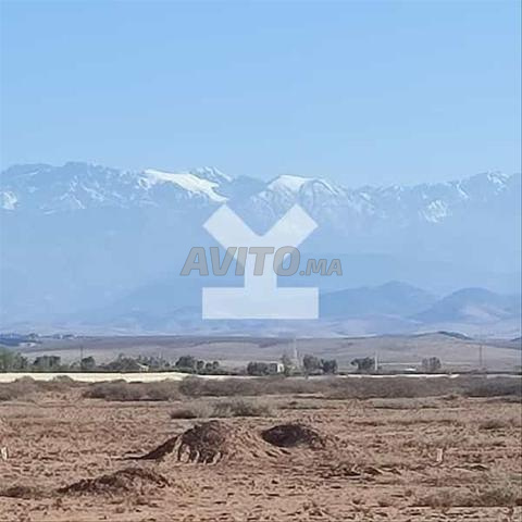 77094-بيع أرض في مراكش طريق أمزميز - 2