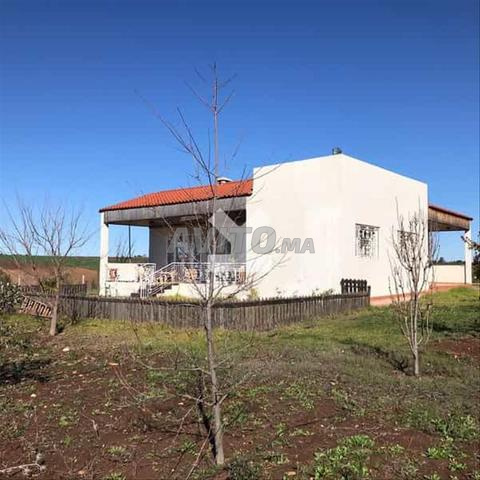 11457-Vente فيلا في   بمساحة 10000 متر مربع