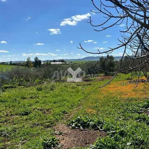 54846-Vente Terrain à de 9474 m²