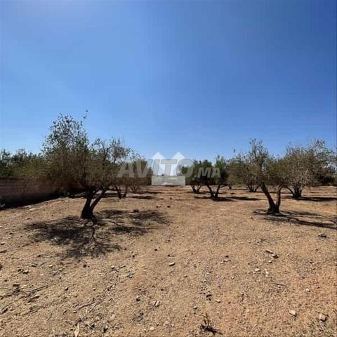 149896-بيع أرض في مراكش طريق أوريكا