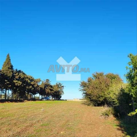 46012-بيع أرض في من 2835 م²