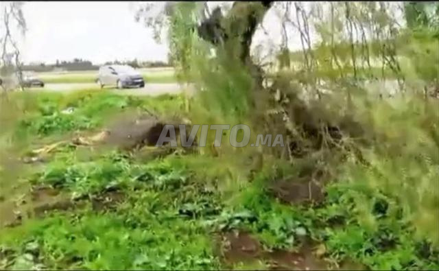 أرض على الطريق عندها رخصة محطة البنزين و بناء فيلا