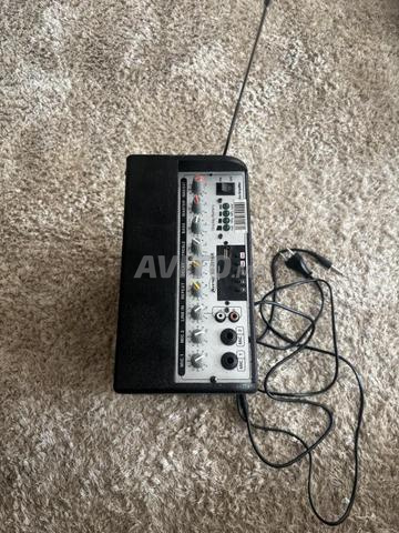 Enceinte sono professionnel - 2