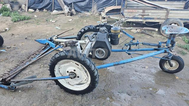 Faucheuse type bcs de fabrication italienne