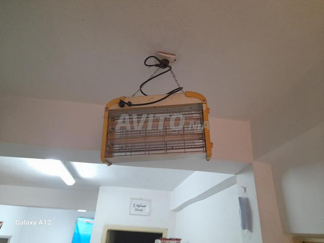 قاتل الذباب - 2