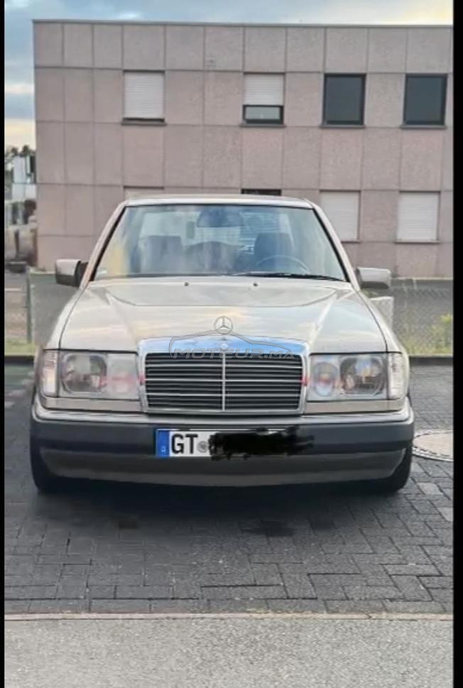 Allemania 50