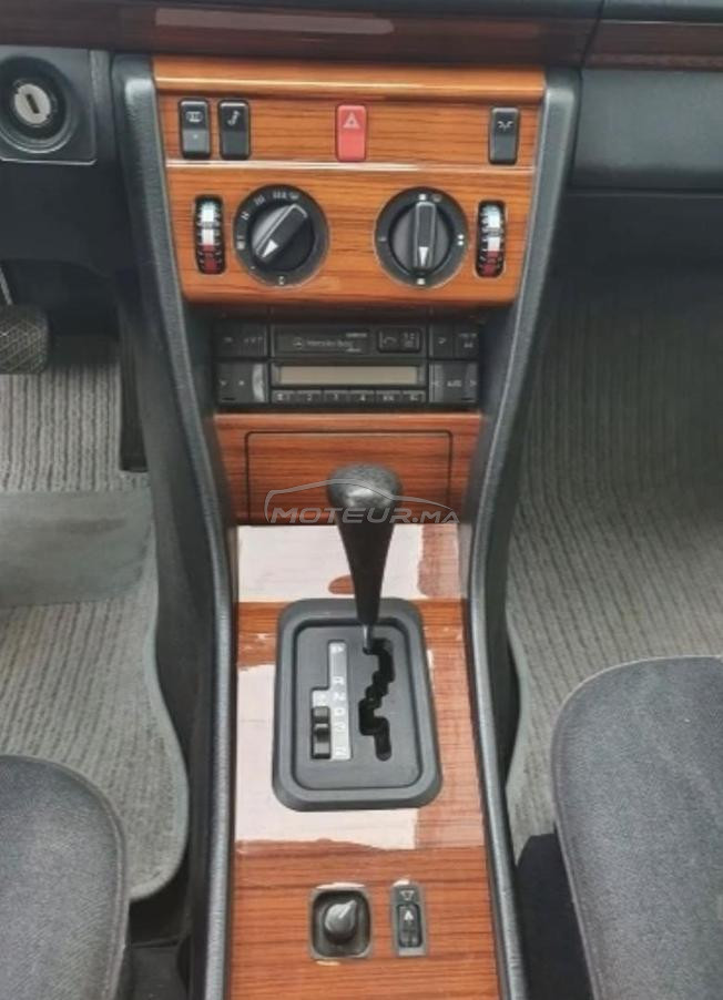 Allemania 50