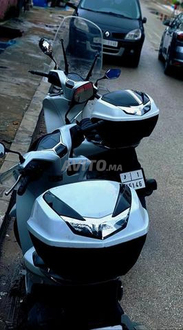 Ville d'Al Arish, quartier Naajma - 2