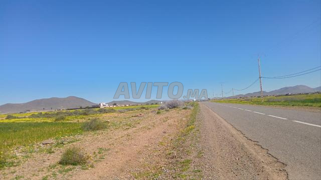 Terrain 1 Hectare Titré à vendre – Bourrouss - 2