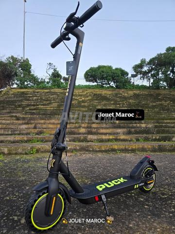 Trottinette ECOXTREM PUCK