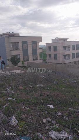 Terrain titré à vendre - 2