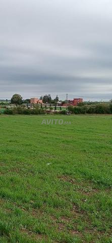 Terrain à vendre Titré