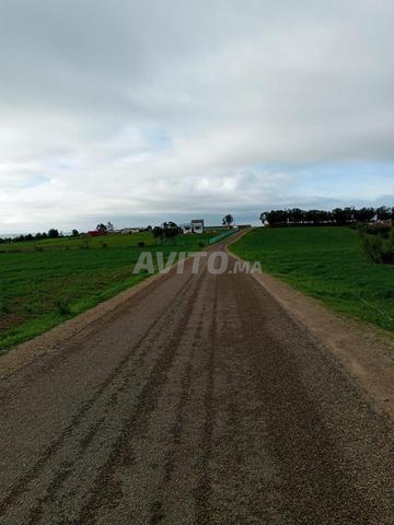 Terrain à vendre Titré - 2