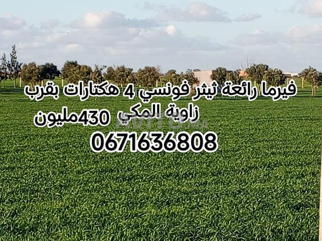 أرض فلاحية 70 هكتارات ثيثر فونسي 27مليون هكتار - 2