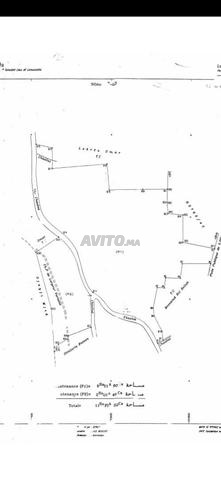 أرض ذات سند ملكية للبيع - 2